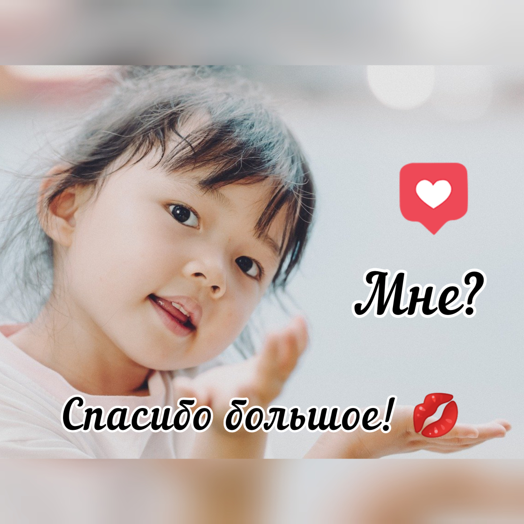 Законы о животных 