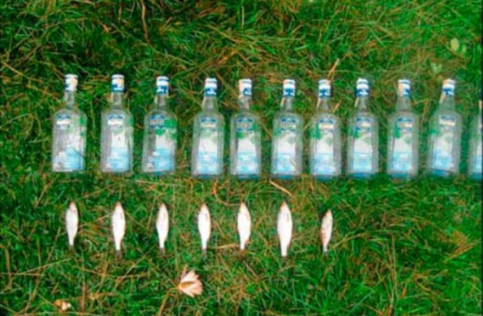 Лучшие моменты, которые запечатлели на рыбалке Это нужно видеть