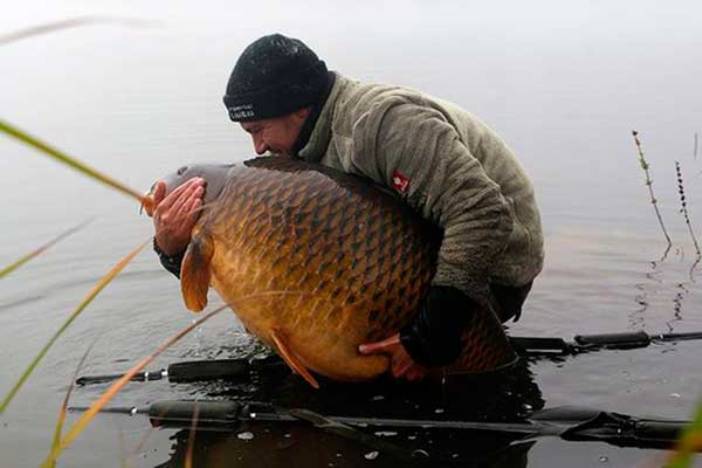 Лучшие моменты, которые запечатлели на рыбалке Это нужно видеть