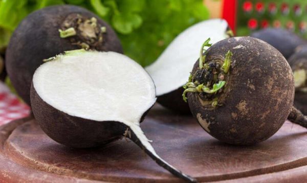 Полезные свойства черной репы