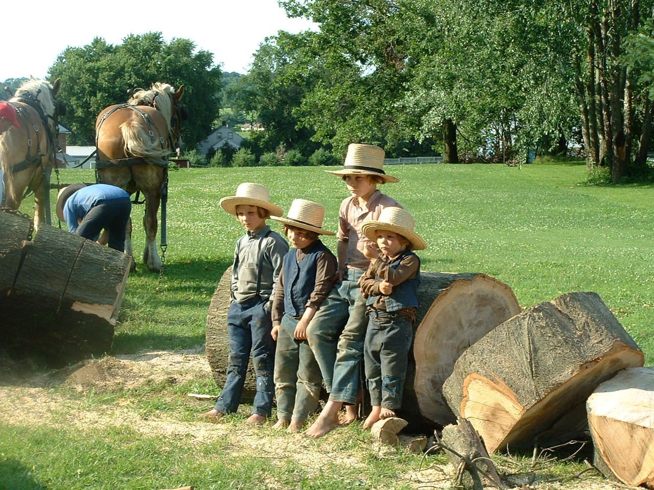 Амиши - современные люди, которые остались жить в 18 веке