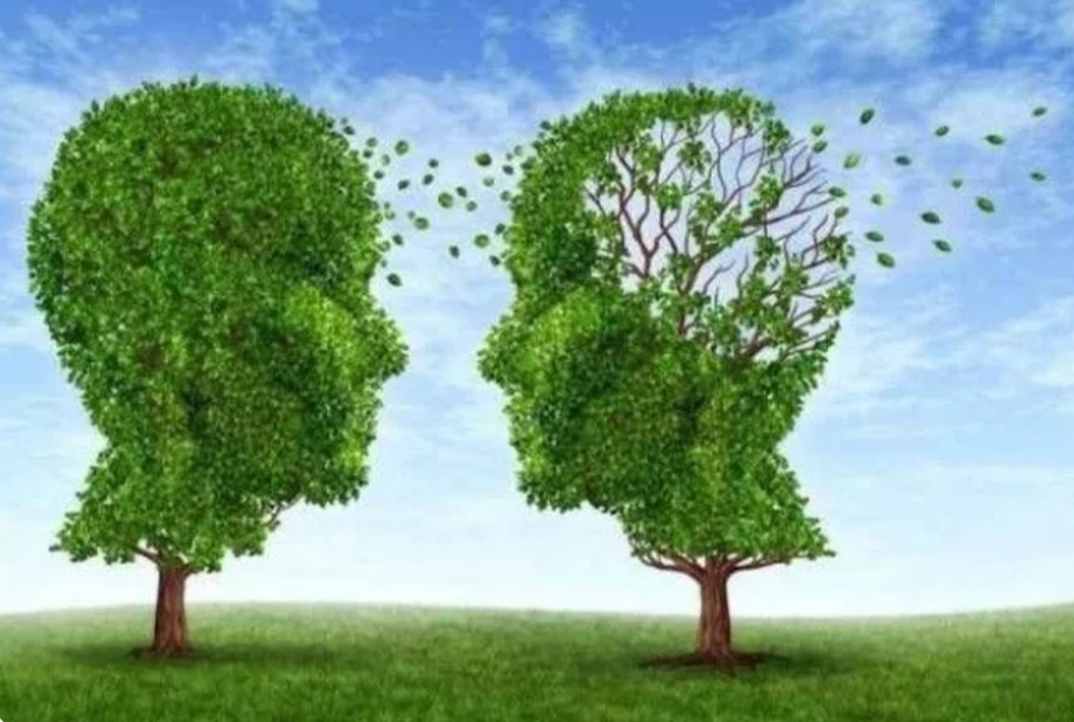 Интересный факт о памяти человека