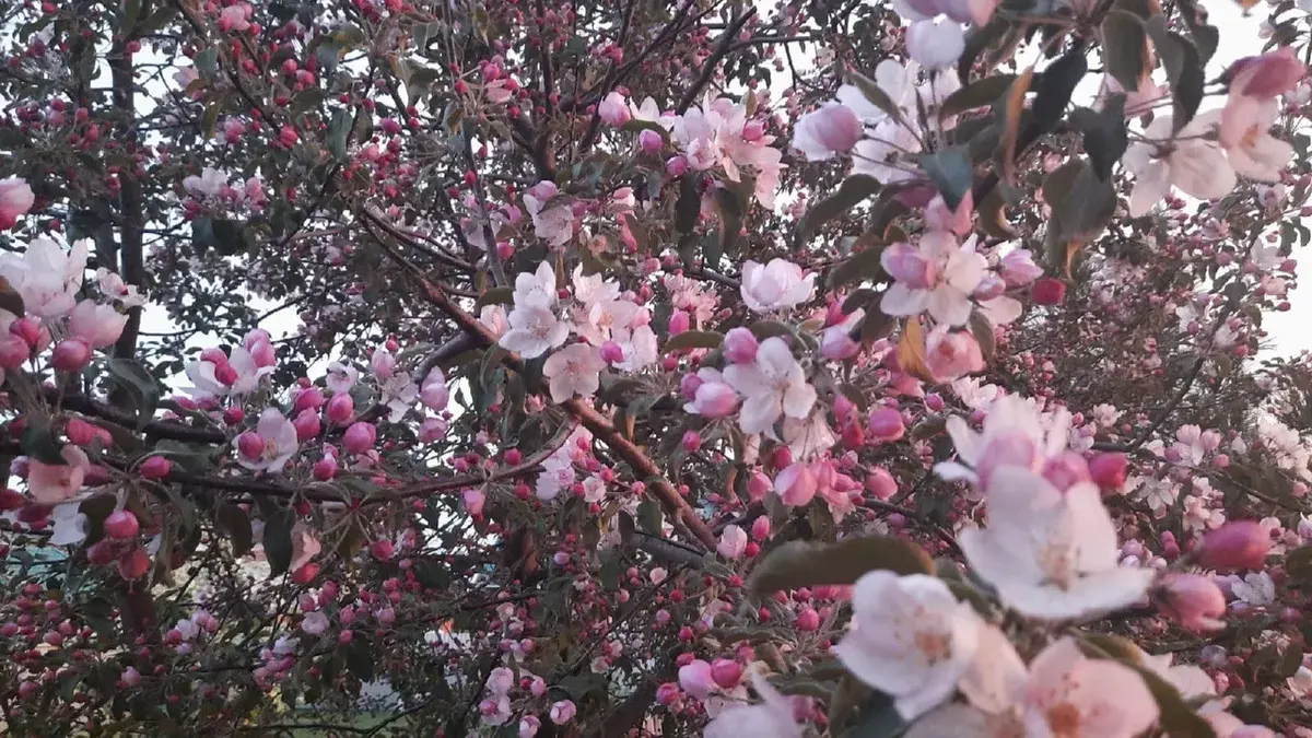 Астролог Тамара Глоба рассказала, как скажется тотальное лунное затмение 16 мая на всех жителях Земли до 30 мая 2022: