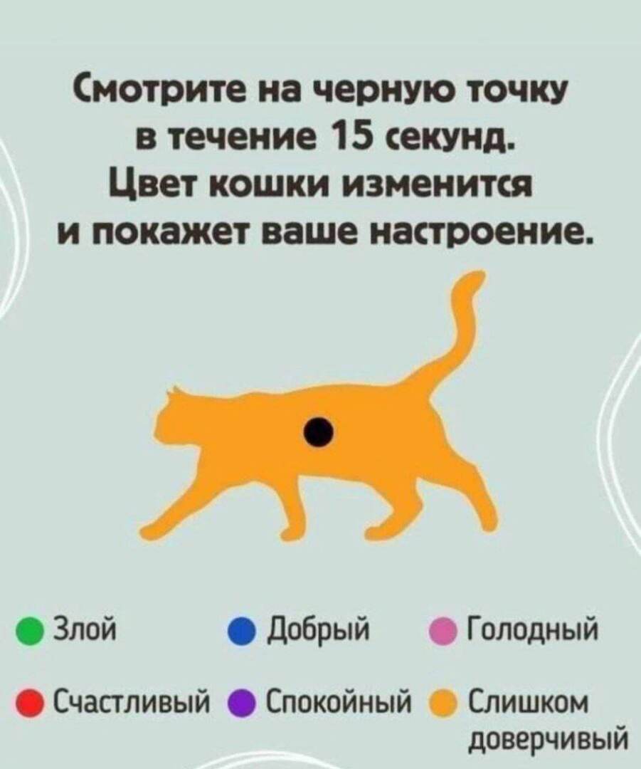 Смотрите на черную точку в течение 15 секунд. Цвет кошки изменится и покажет ваше настроение.