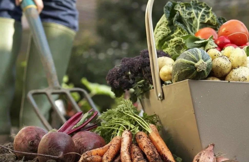 Повышение земельного налога на участки с 2022 года. Кто будет платить повышенный налог? Можно ли вернуть прежний размер?