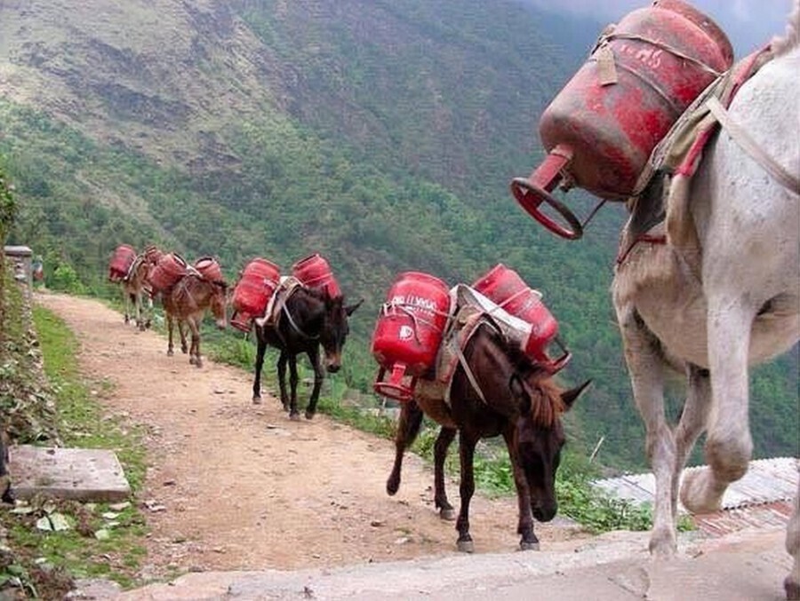 Быть или не быть русскому газу в Афганистане?