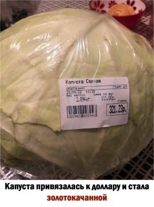 Капуста привязалась к доллару и стала золотокачанной