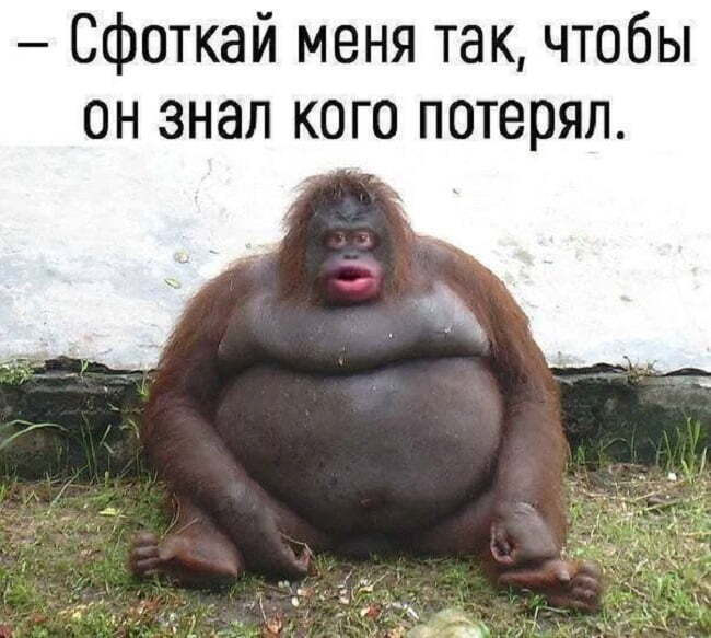 Вы нравитесь себе на фото?