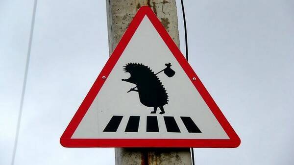 Водитель и природа — возможен ли компромисс?