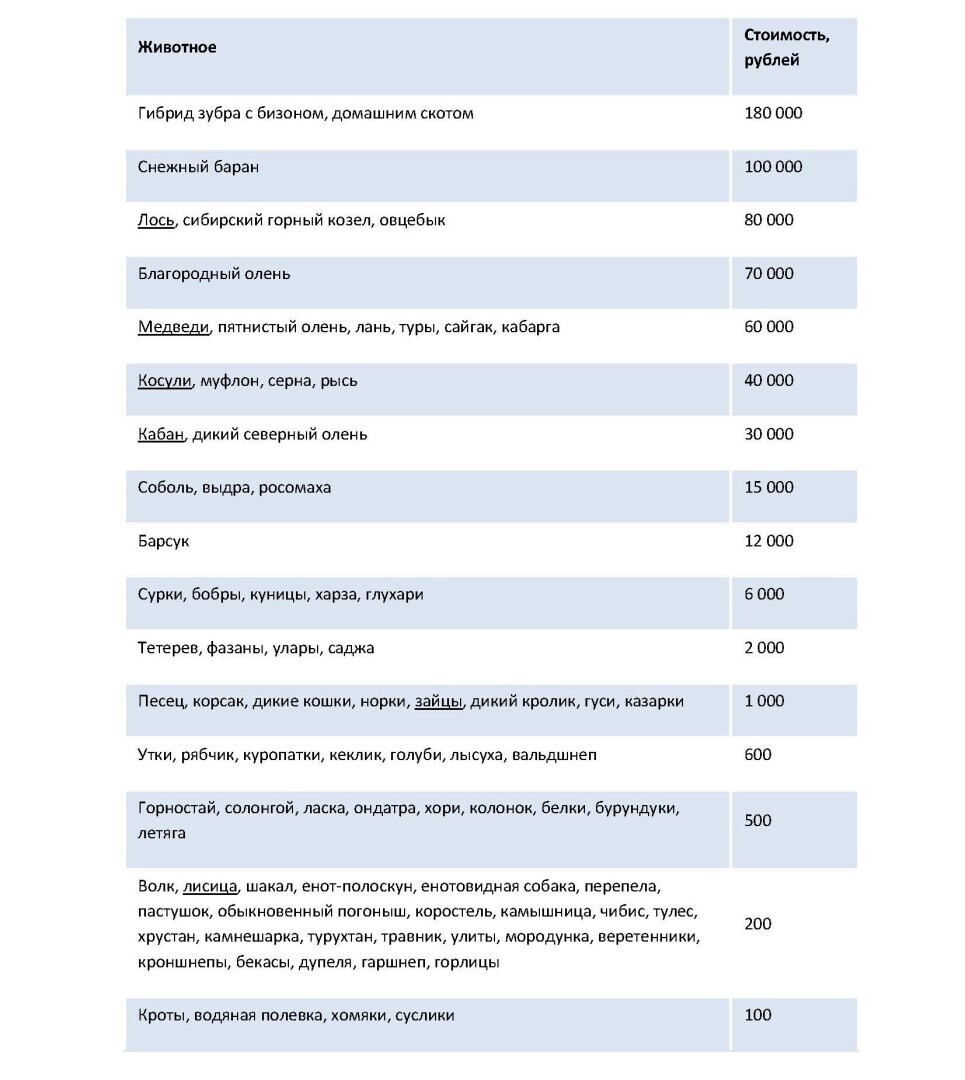 Водитель и природа — возможен ли компромисс?