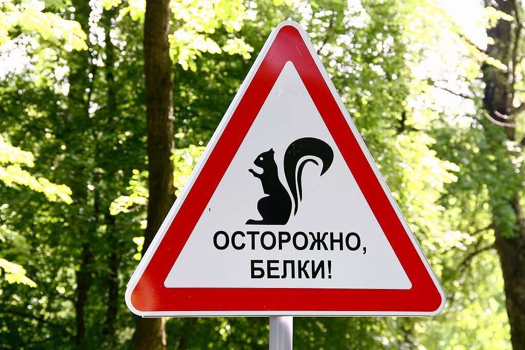 Водитель и природа — возможен ли компромисс?