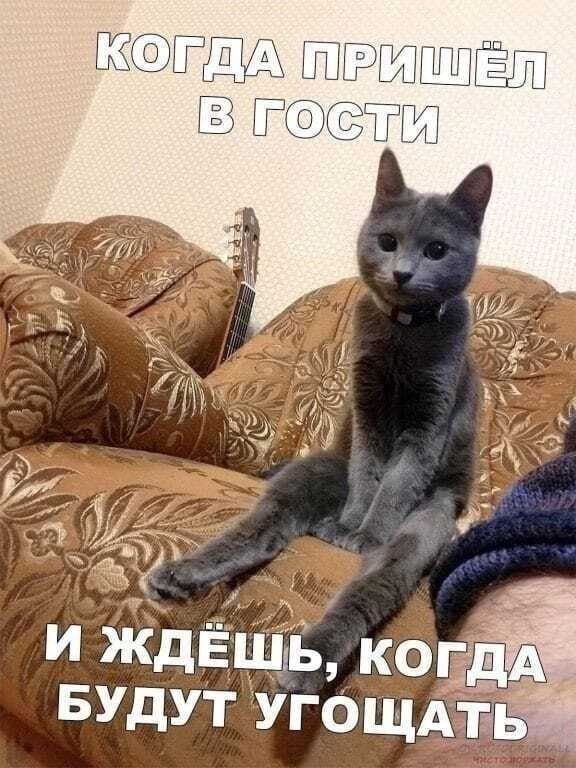 Ну что заскучали! Вот вам смешные картинки, посмеёмся вместе😁😆👍😭😅😂