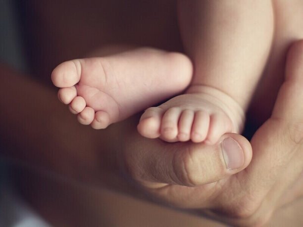 Ненастоящий внук