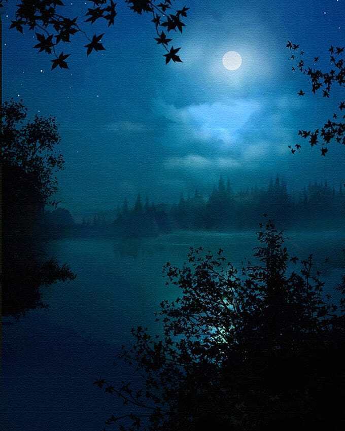 Стих,,Лунной порою,я вышел из дома"!