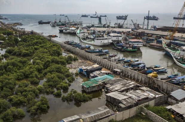 Некоторые прибрежные города тонут даже быстрее, чем поднимаются моря