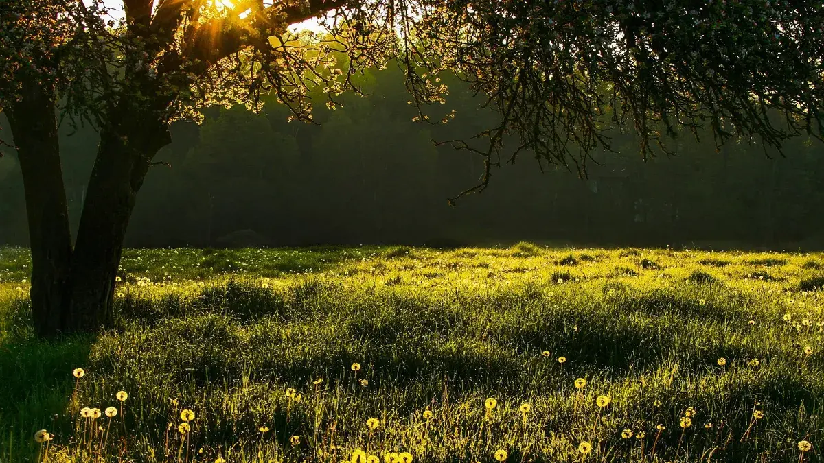 Погода в июне-2022: прогноз погоды для дачников и любителей пляжа в Сибири, Урале, Дальнем Востоке, Москве и Петербурге, холодно будет или нет