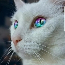 Юлия, г. Ханты-Мансийск