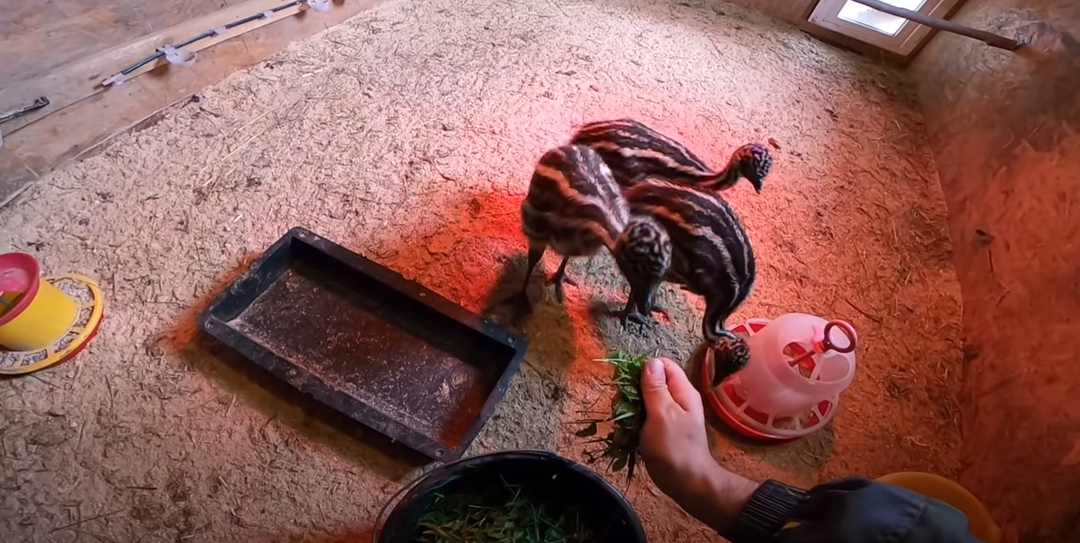 Утро доброе пришло, всё проснулось, ожило! Продолжение.