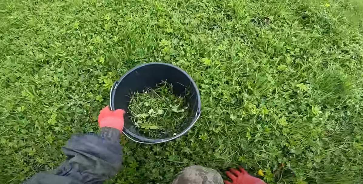 Утро доброе пришло, всё проснулось, ожило! Продолжение.