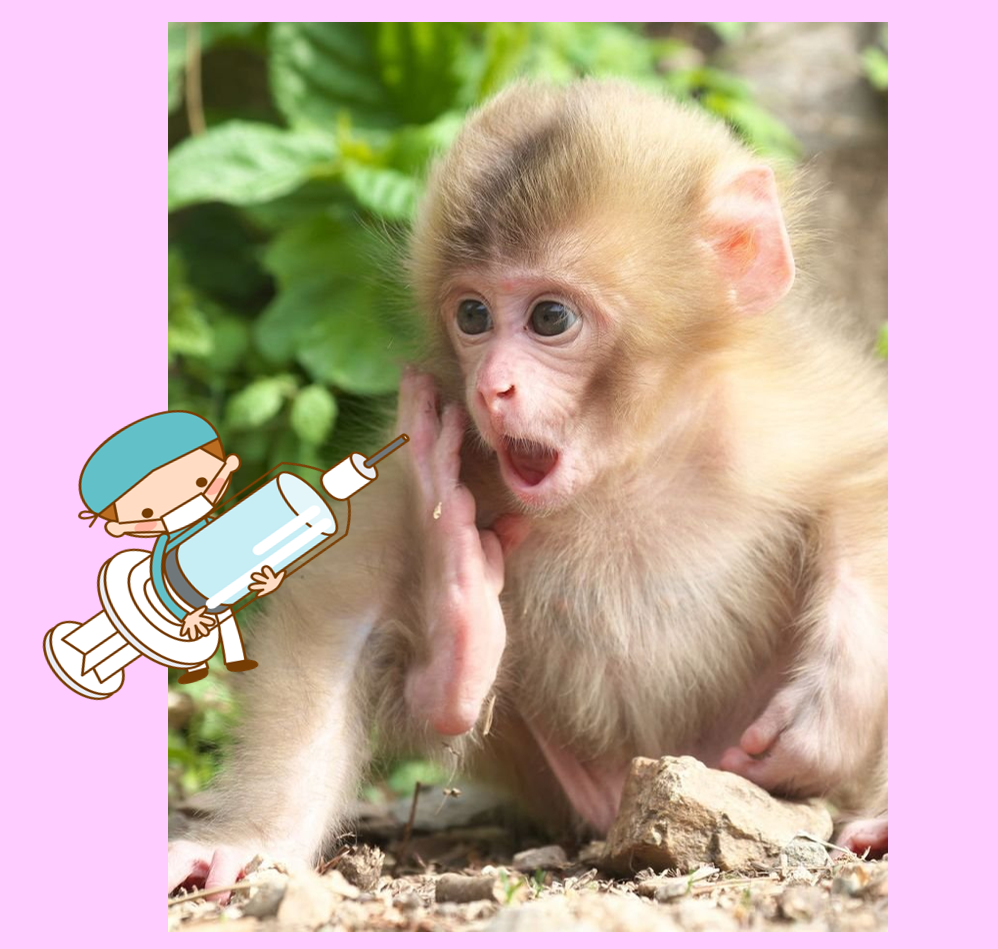 Новый день – новая проблема, а иначе жизнь будет неинтересной