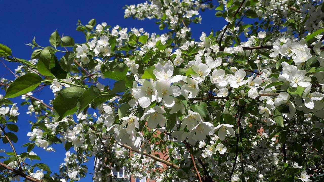 Смешные картинки, полезные советы хозяйкам,и другое.