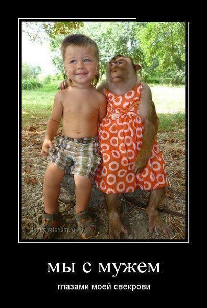 Весёлые картинки (часть 37)