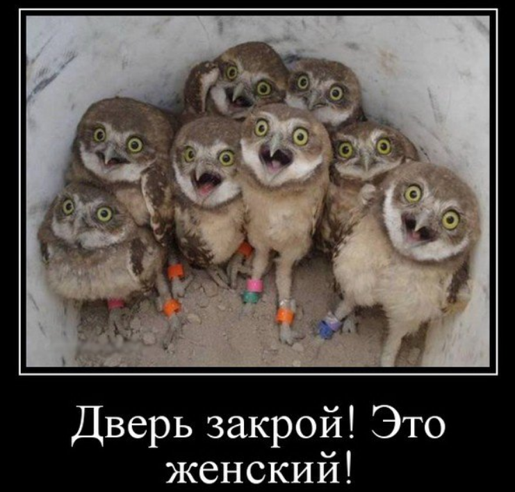 Весёлые картинки (часть 37)