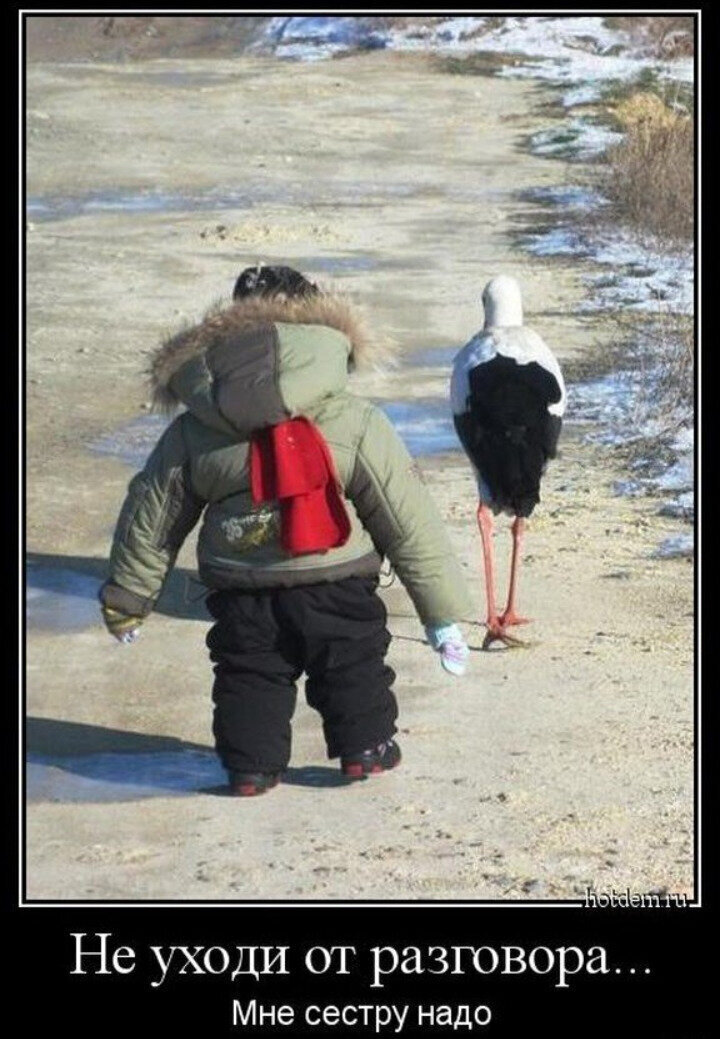 Весёлые картинки (часть 37)