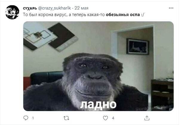 Обезьянья оспа шагает по странам Европы.