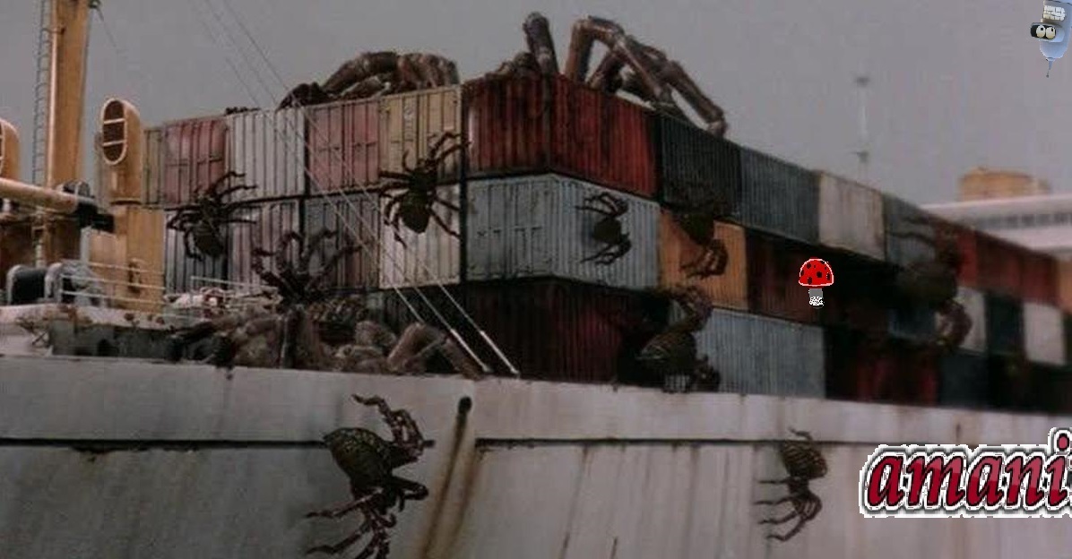 Как победить тревогу и беспокойство, отравляющие жизнь: советы опытных психологов (+аудиоверсия статьи)