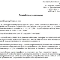 hodatajstva-o-pomilovanii-ot-materi-1.png