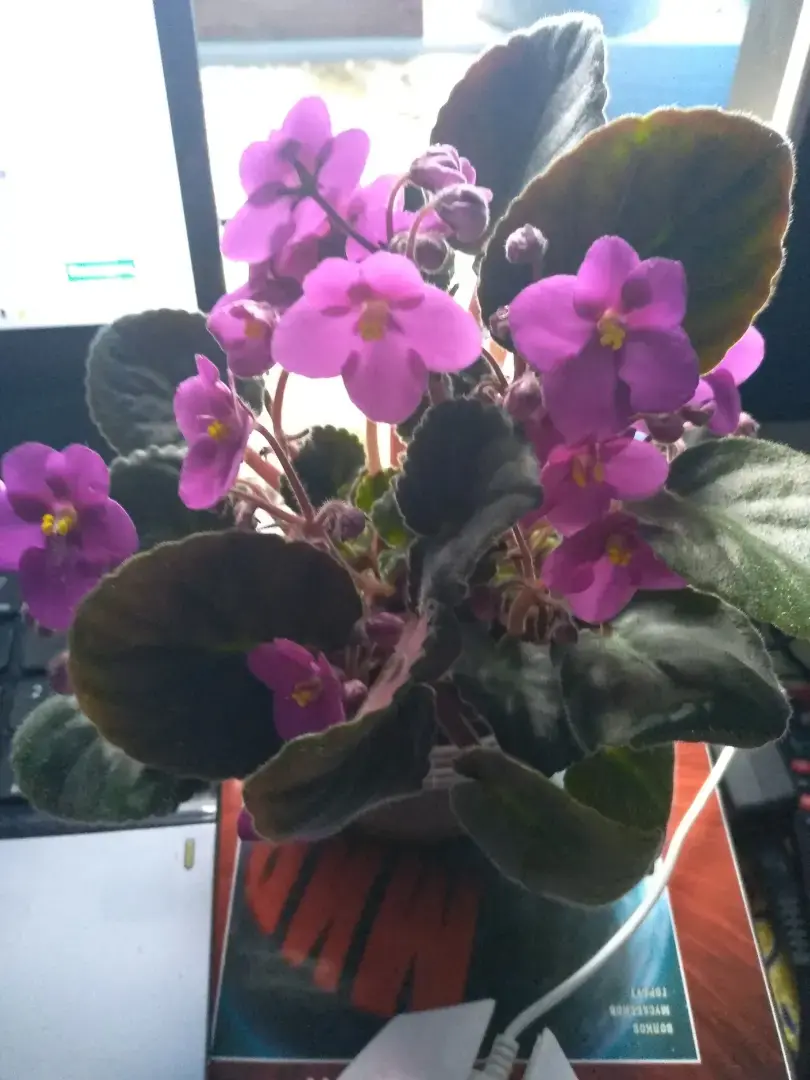 Деревенский квест под названием "Попробуй догадаться"