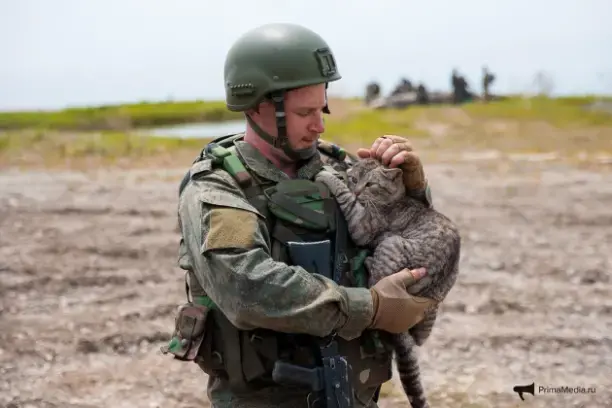 В Приморье на полигонах проходит подготовка добровольцев, заявившихся на отправку в зону спецоперации на Украину. У каждого из них свои причины