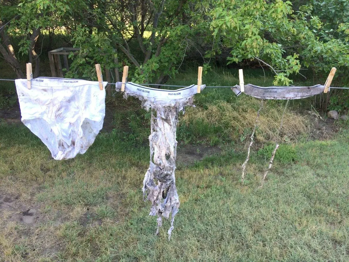 Трусы как критерий качества национальной почвы