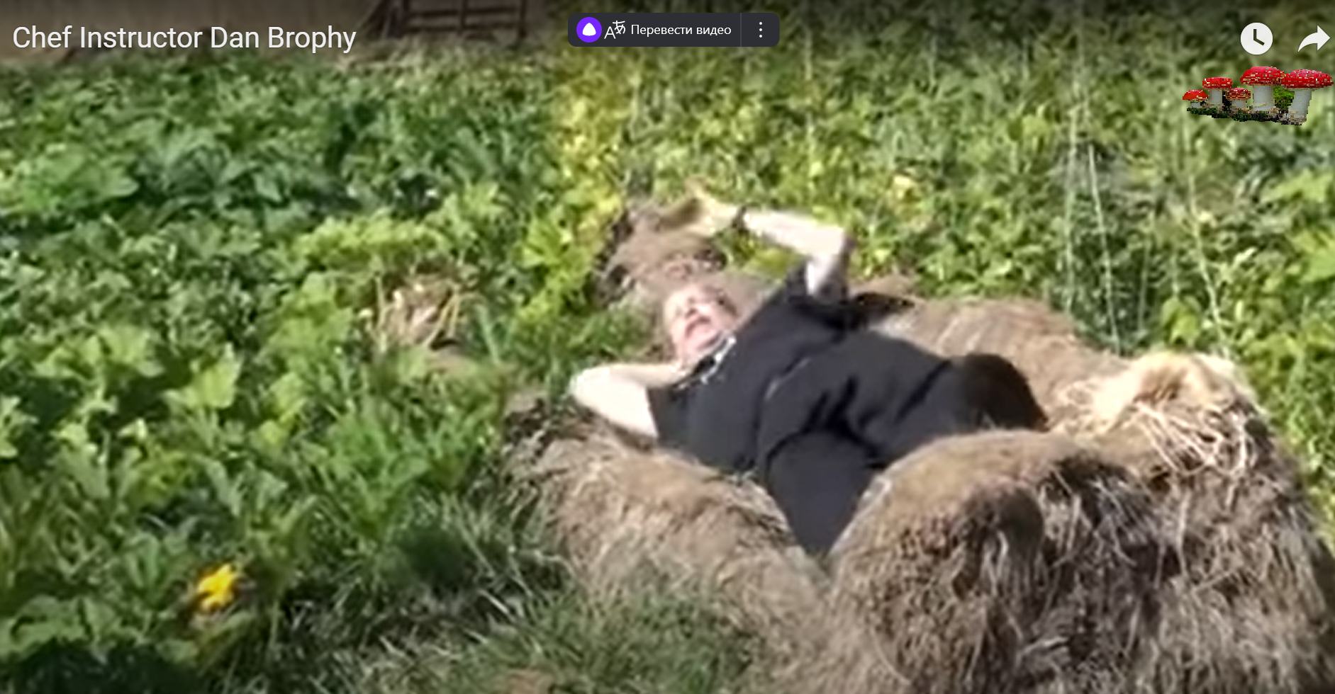 Она написала убийство. Женщина, написавшая статью «Как убить мужа», осуждена за убийство кого бы вы думали (+эксклюзивный перевод скандальной статьи)