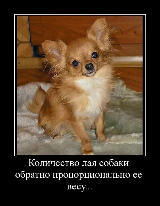 Весёлые картинки (часть 38)