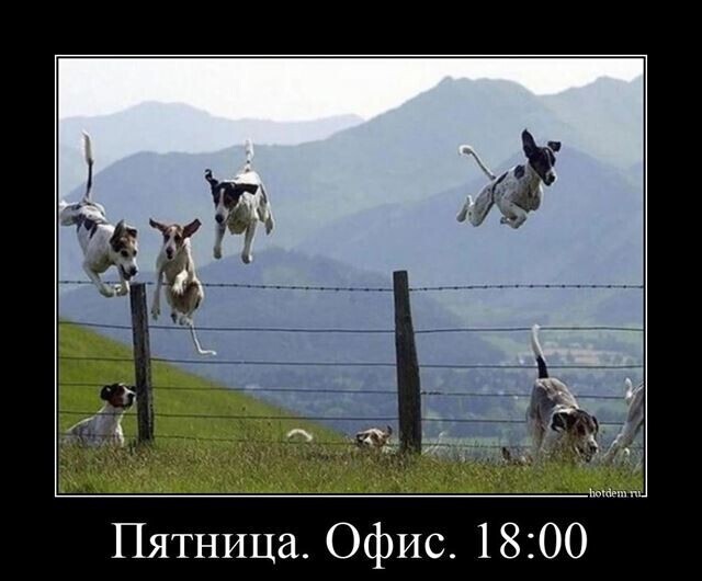 Весёлые картинки (часть 38)