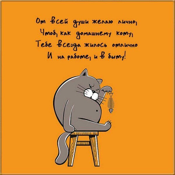 Цитаты и Афоризмы.