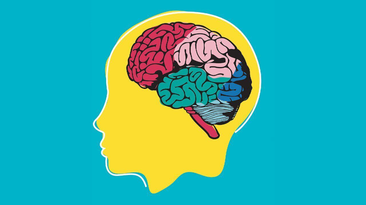 Информация про наш мозг, о явлениях природы и еще кое что интересное в моей статье