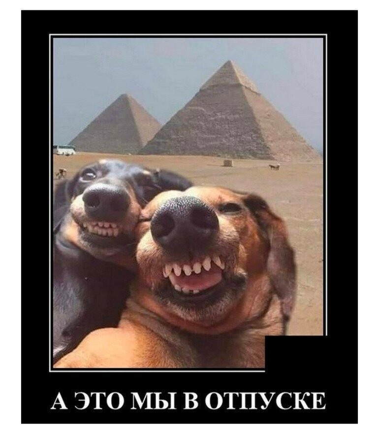 Весёлые картинки про отпуск (часть 39)