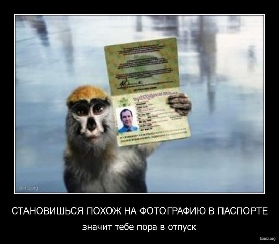 Весёлые картинки про отпуск (часть 39)