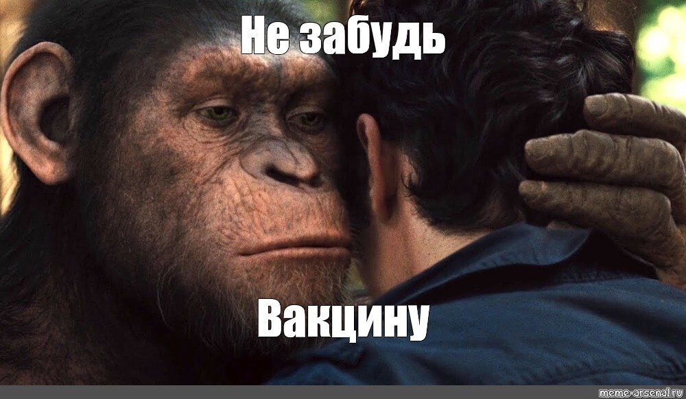 Новый вирус. Оспа обезьян - связь с ЛГБТ<span style=