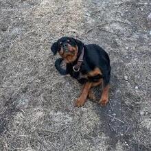 Виктория, г. Москва