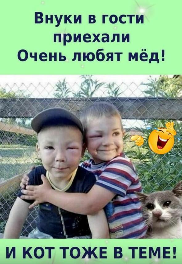 Смешные анекдоты юмор приколы картинки.