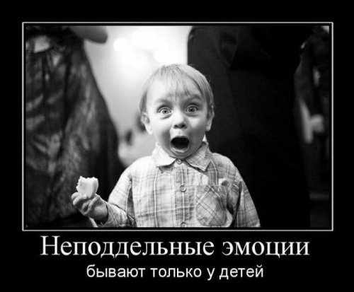 Смешные анекдоты юмор приколы картинки.