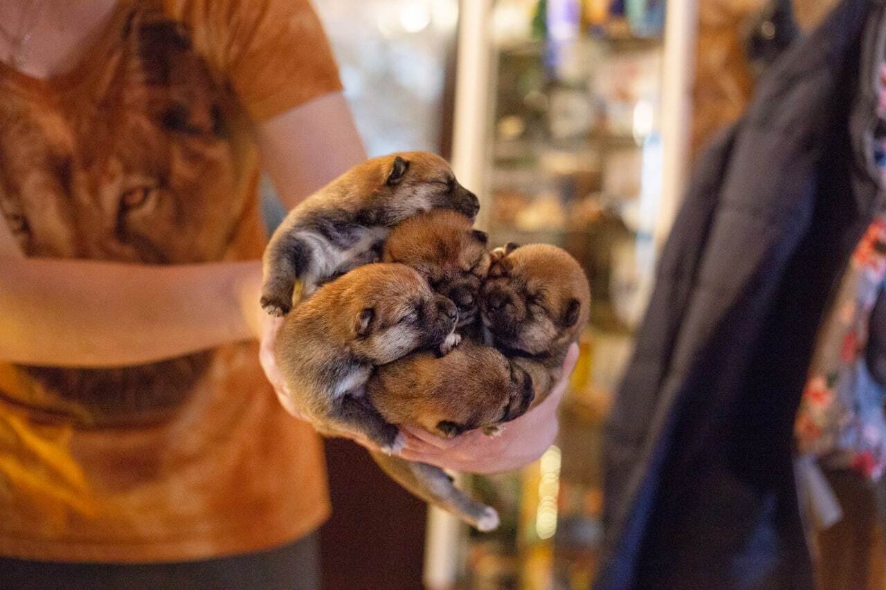 С днём защиты детей вас поздравляю!