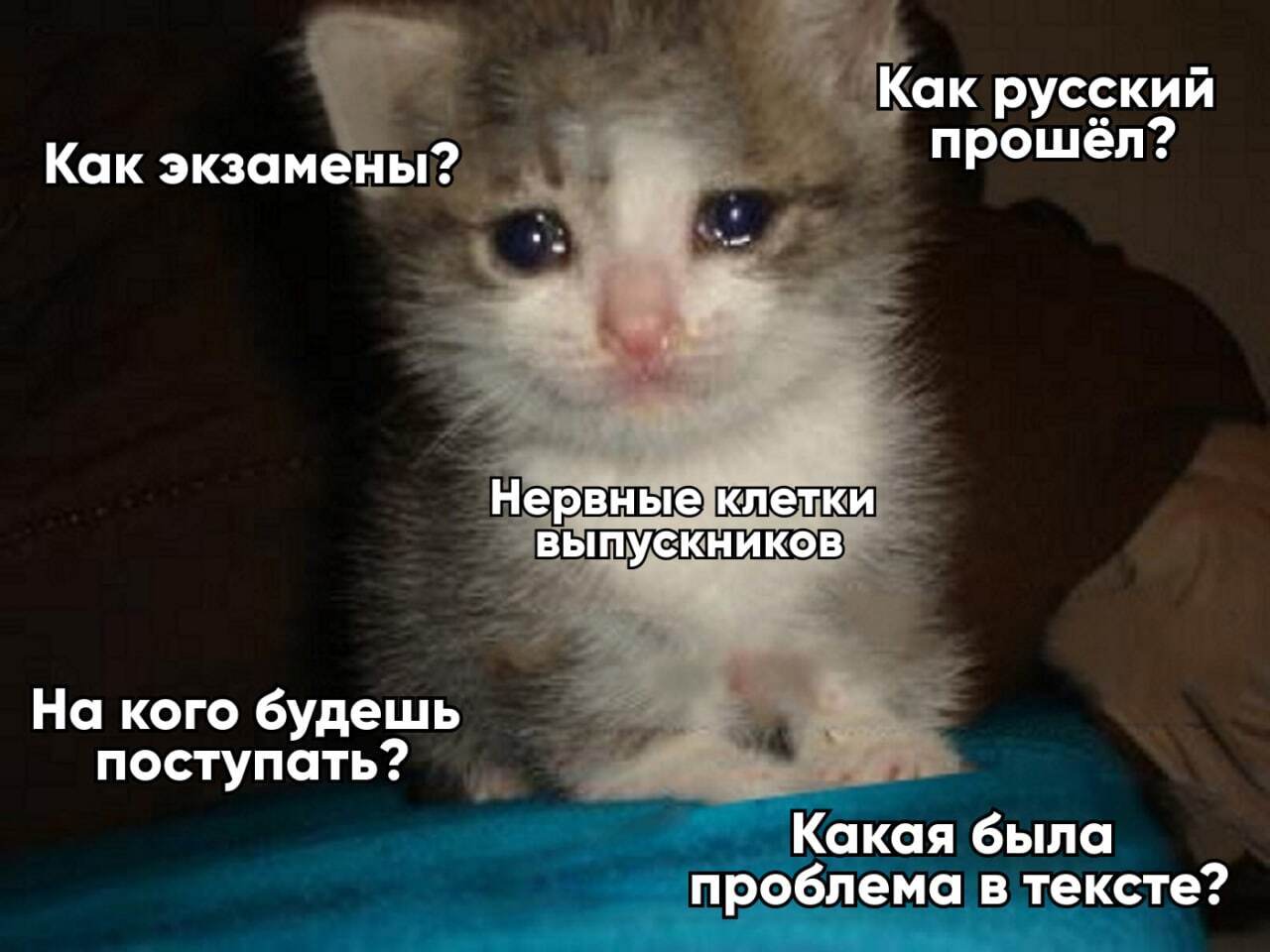 В Госдуме предложили не ограничивать число пересдач ЕГЭ в течение года