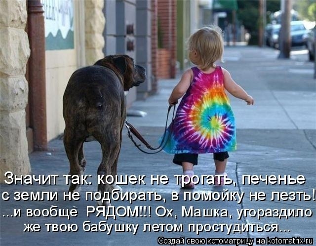 Эти летние коты....