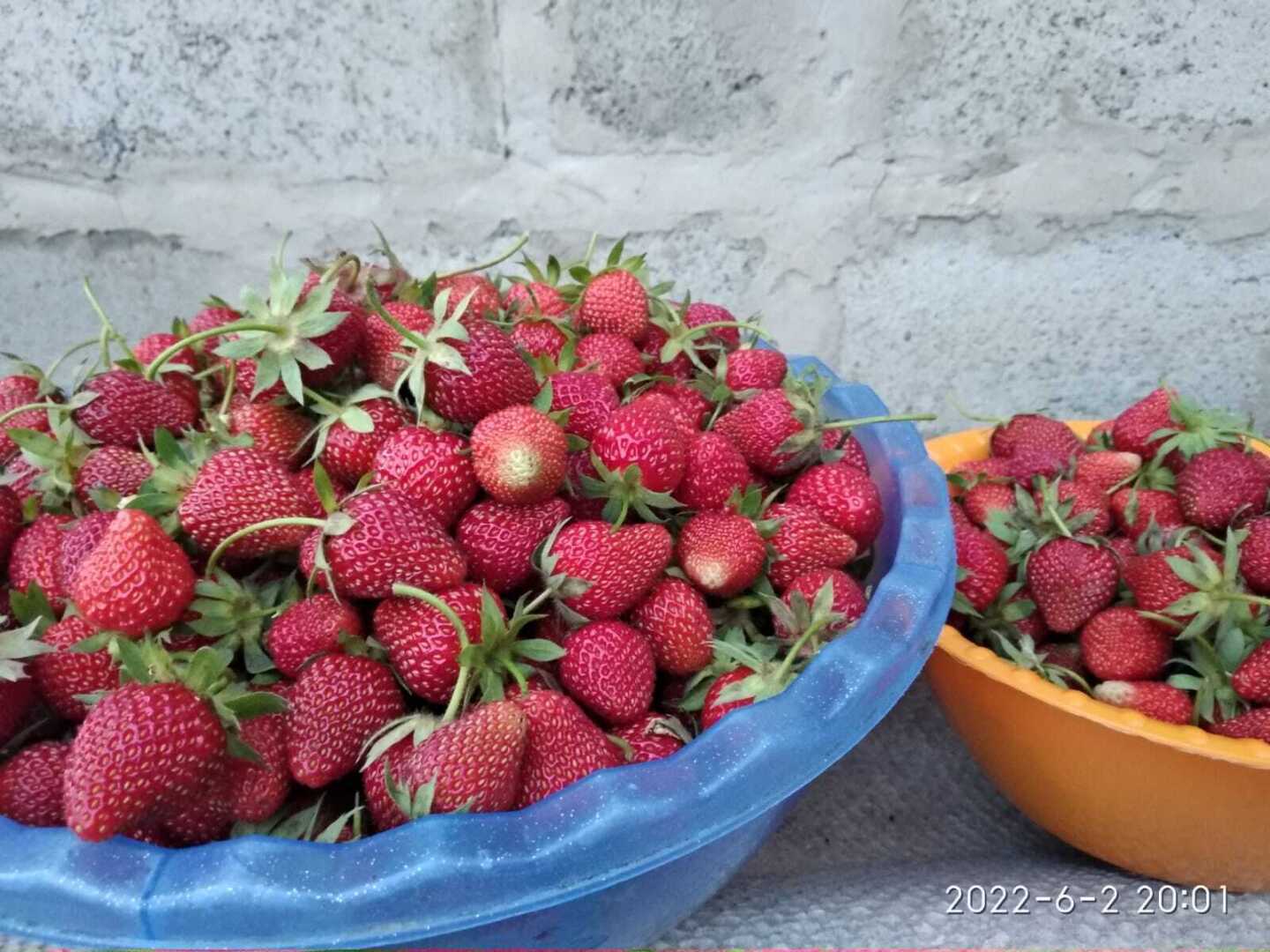 Своя клубника 😋