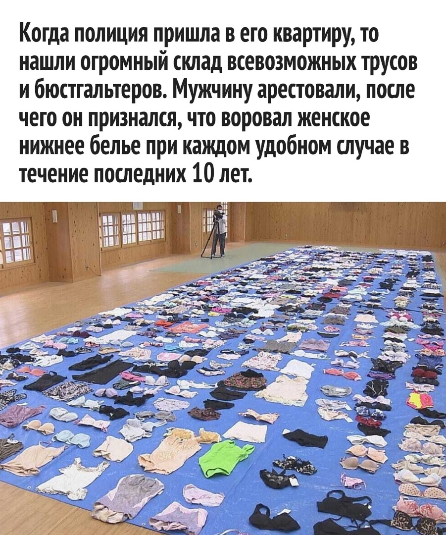 Когда полиция пришла…